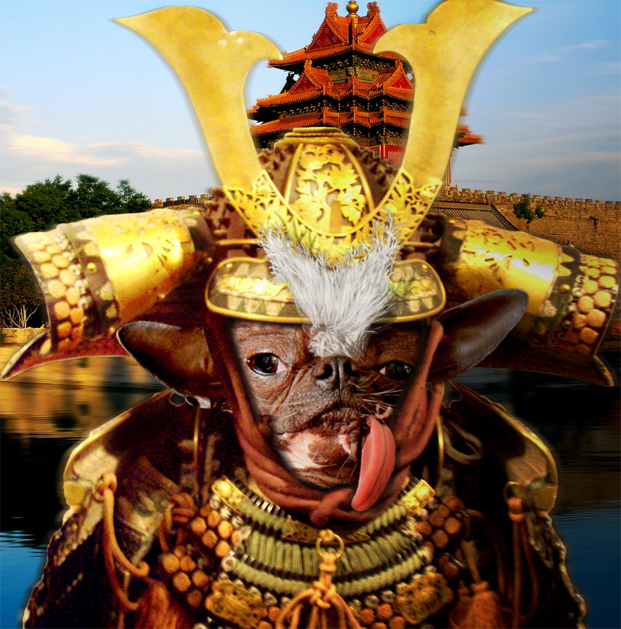 Diseño de Photoshop por MacielBR para DesignCrowd (Community Contests) | Diseño #8946099