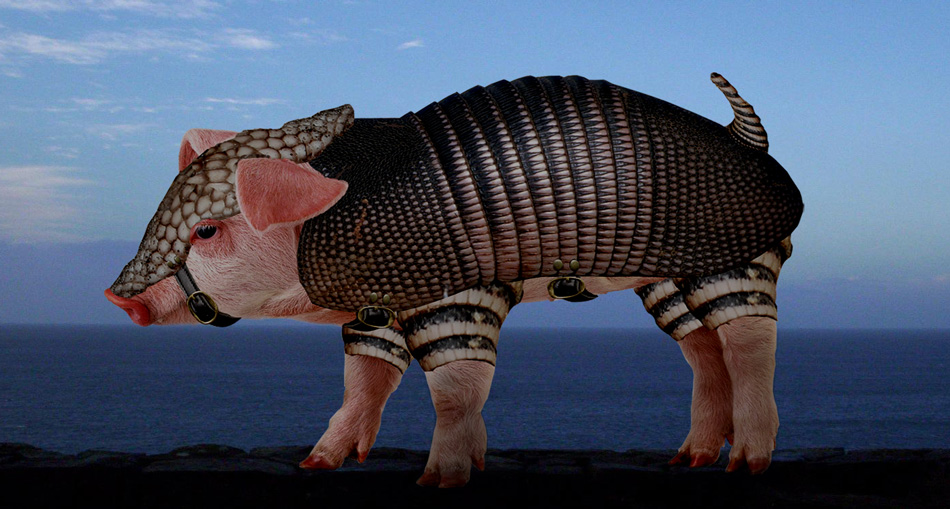 Photoshop Design by snakebit for DesignCrowd (Community Contests) | Design #8946095