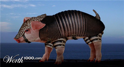 Photoshop Design by snakebit