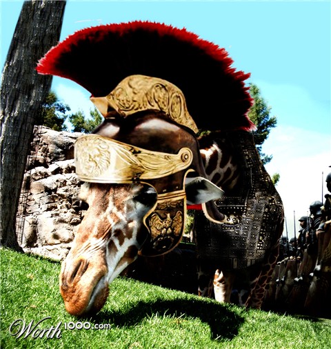 Photoshop Design by maci1976