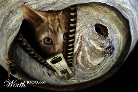 Photoshop Design by YearoftheDragon