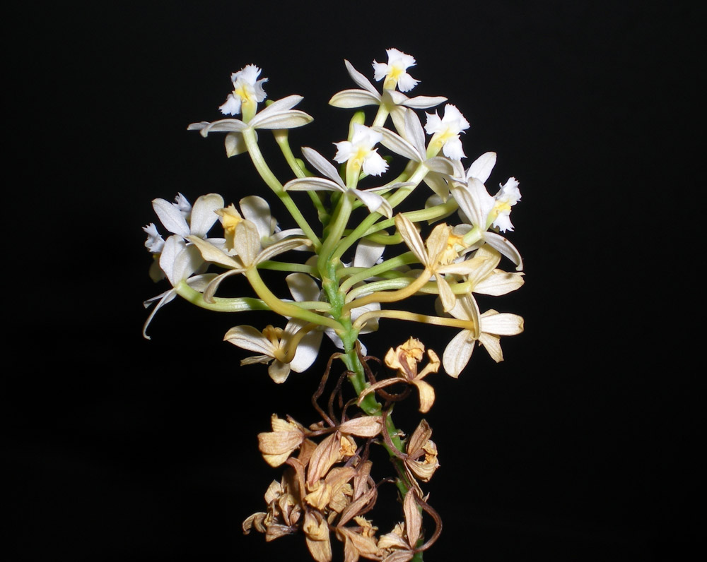 Photography by TRANSCENDENTalMAN for DesignCrowd (Community Contests) | Design #8947382