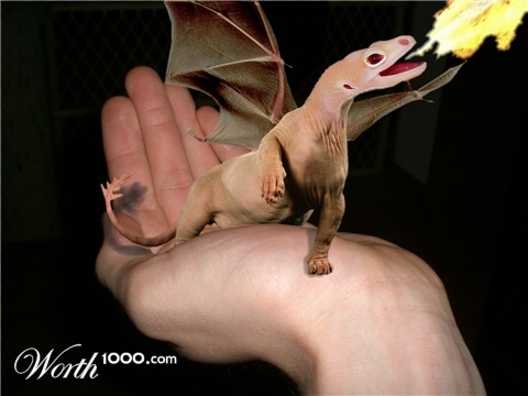 Photoshop Design by person799