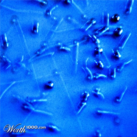 Photography by northman