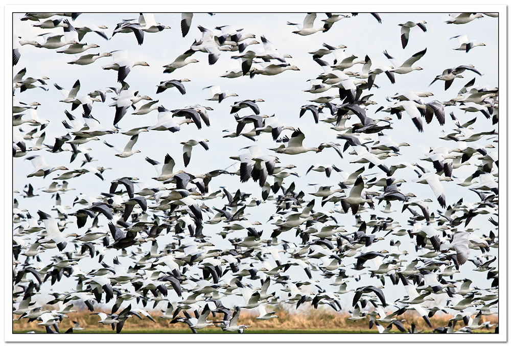 Photography by Fishcat for DesignCrowd (Community Contests) | Design #8949066