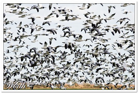 Photography by Fishcat