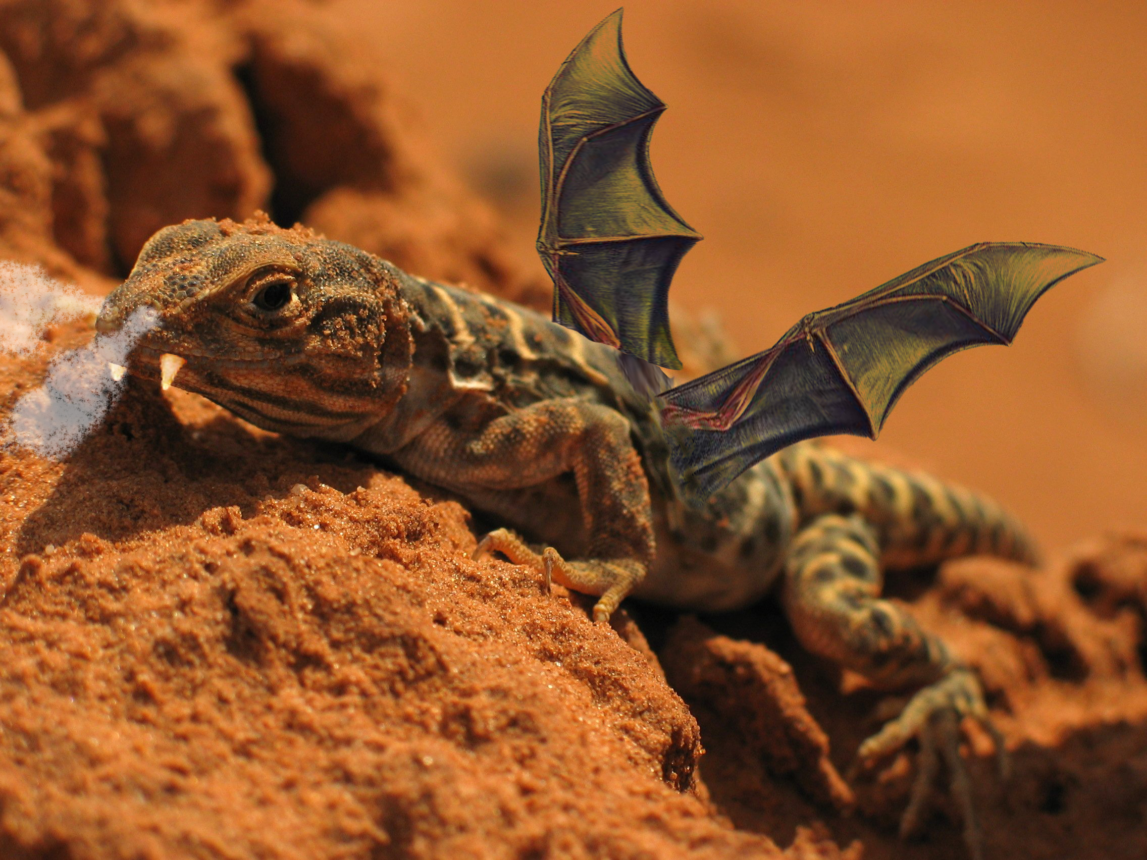 Photoshop-Design von copeland11 für DesignCrowd (Community Contests) | Design #8944960