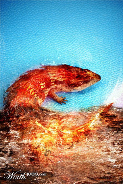 Photoshop Design by Mongus