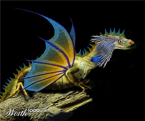 Photoshop Design by stormr