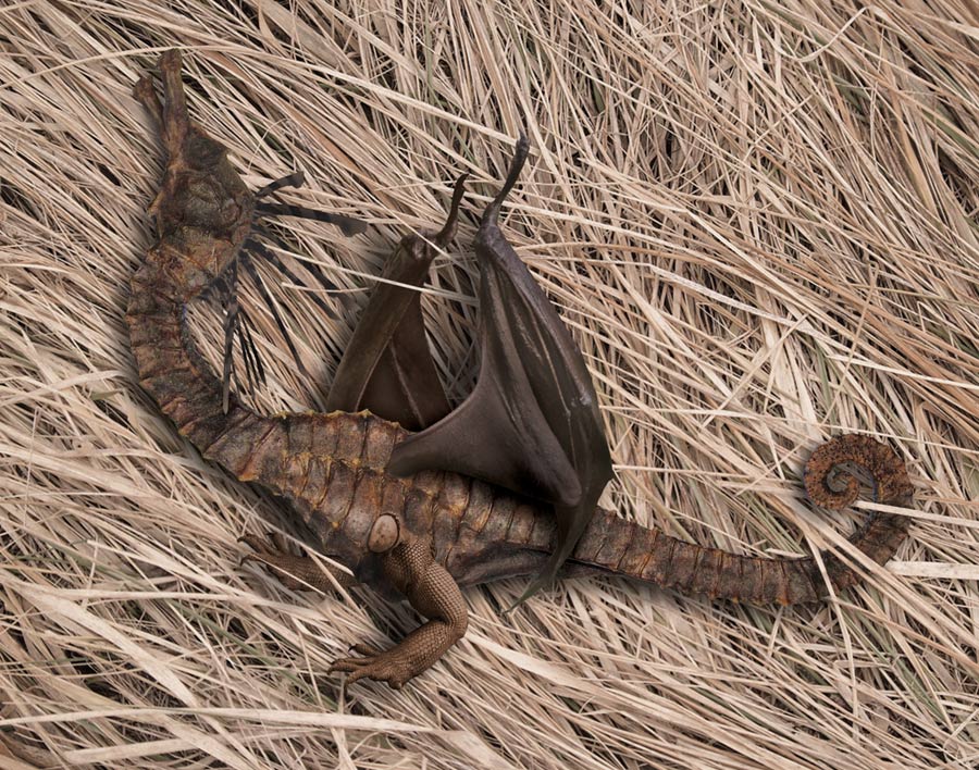 Design Photoshop par GeshaR pour DesignCrowd (Community Contests) | Design #8944993