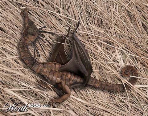 Photoshop Design by GeshaR