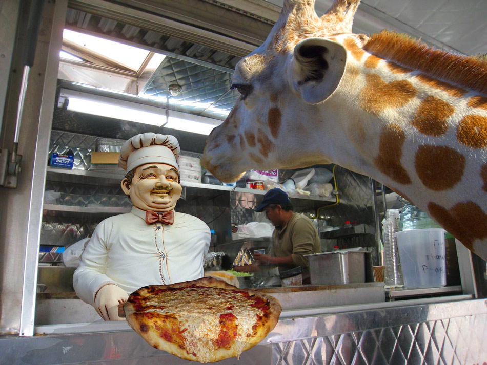 Photoshop Design by snakebit for DesignCrowd (Community Contests) | Design #8944099