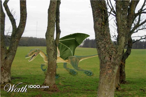 Photoshop Design by Photogenesis