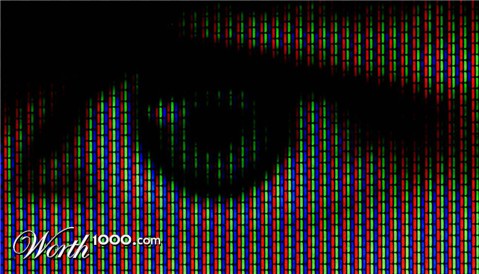 Photography by Rouwkema