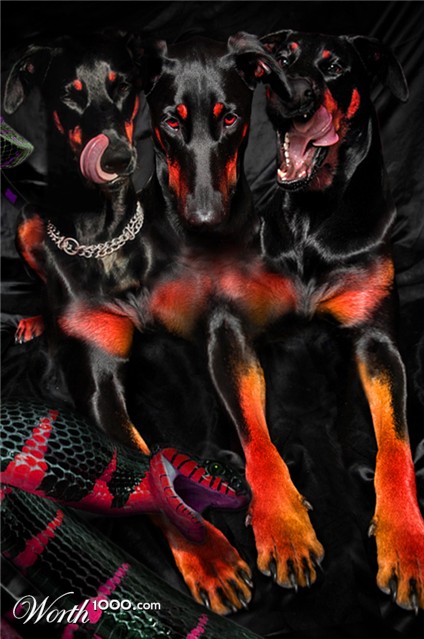 Photoshop Design by BigMets