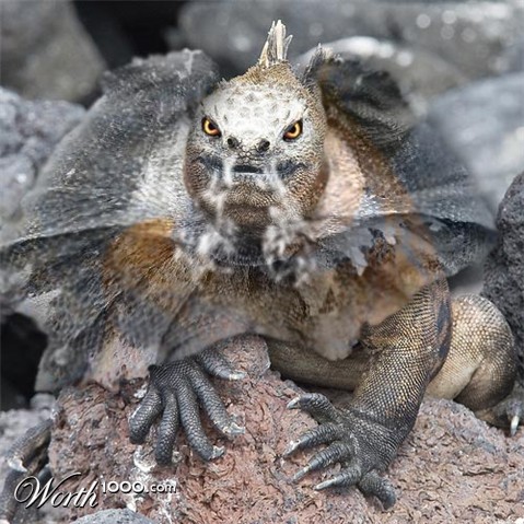 Photoshop Design by almightyknighty