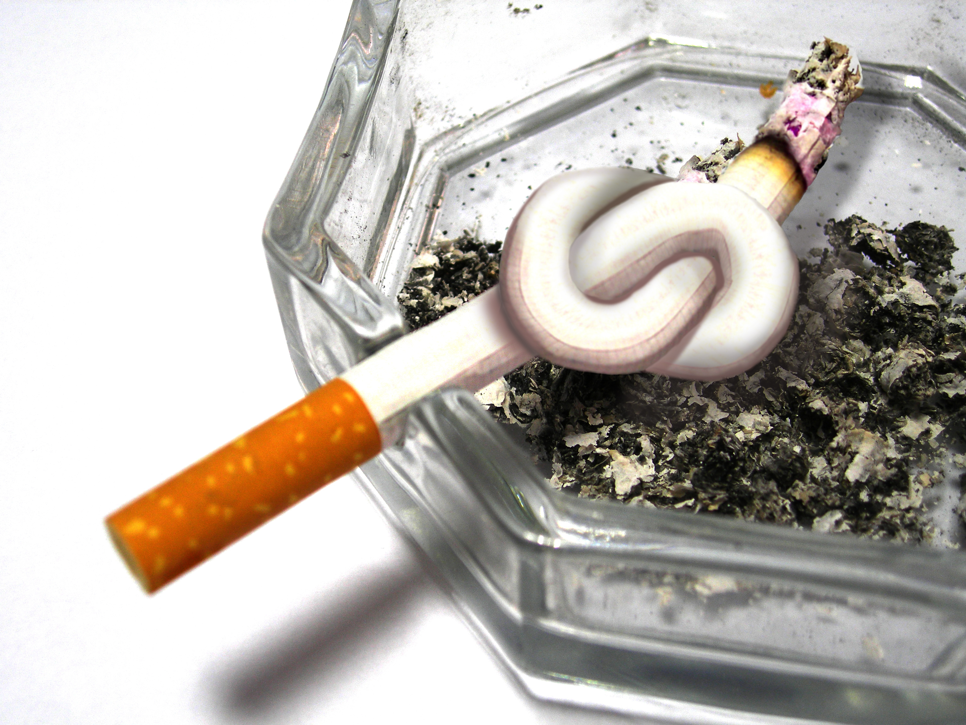 Design Photoshop par hagga27 pour DesignCrowd (Community Contests) | Design #8945993