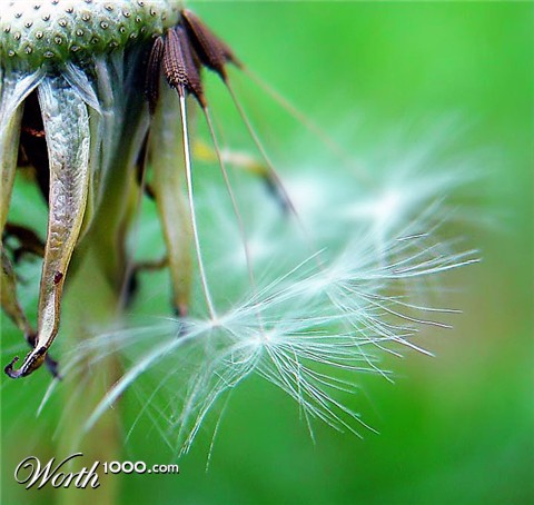 Photography by AlanHauge