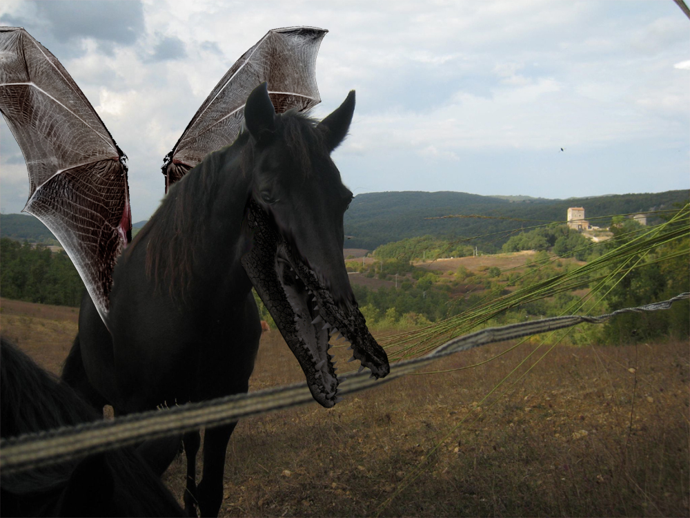 Photoshop Design by jakarw for DesignCrowd (Community Contests) | Design #8945078