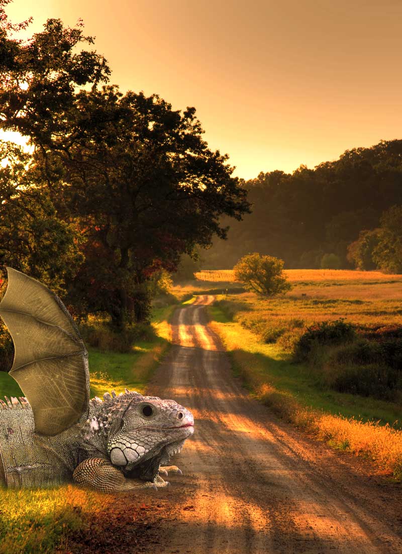 Photoshop Design by Vartuli for DesignCrowd (Community Contests) | Design #8945103