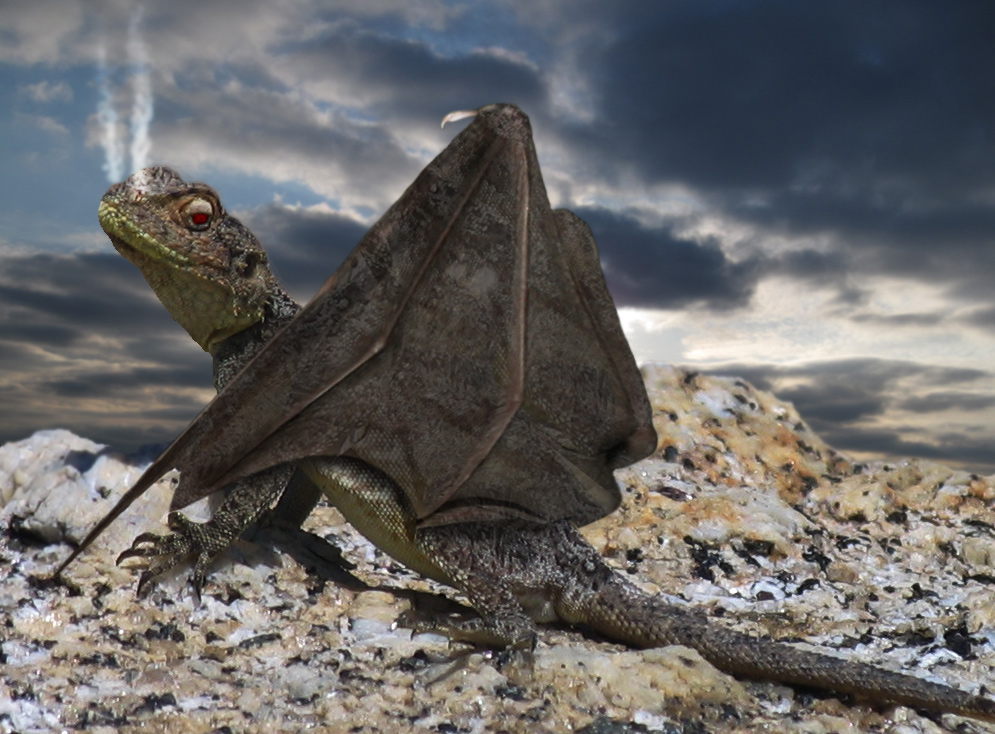 Photoshop-Design von deerreaper für DesignCrowd (Community Contests) | Design #8945025