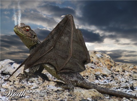 Photoshop Design by deerreaper