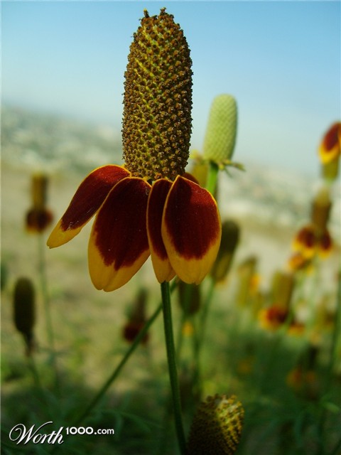 Photography by Eirita