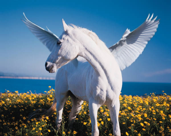 Photoshop Design by bebegreen2 for DesignCrowd (Community Contests) | Design #8946067