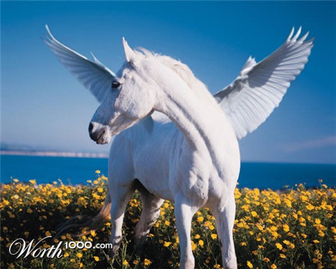 Photoshop Design by bebegreen2