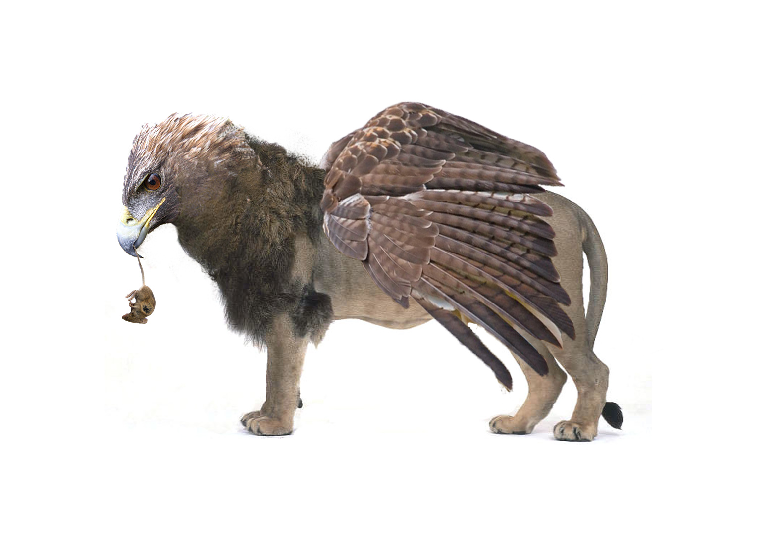 Photoshop Design by Mordey for DesignCrowd (Community Contests) | Design #8946147