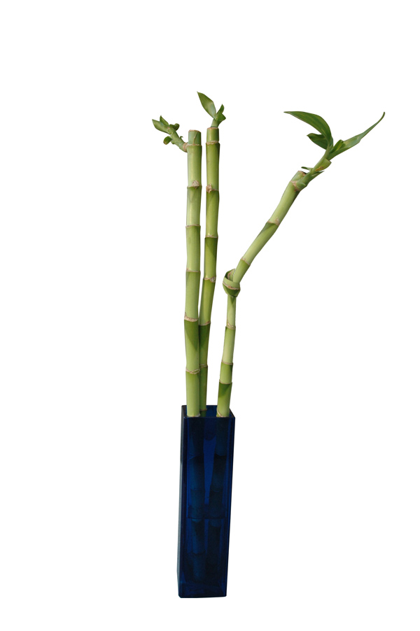 Photoshop Design by icecoldcoffee for DesignCrowd (Community Contests) | Design #8946020