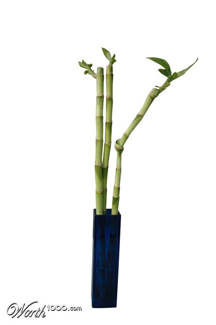 Photoshop Design by icecoldcoffee