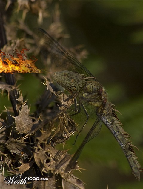 Photoshop Design by mole369