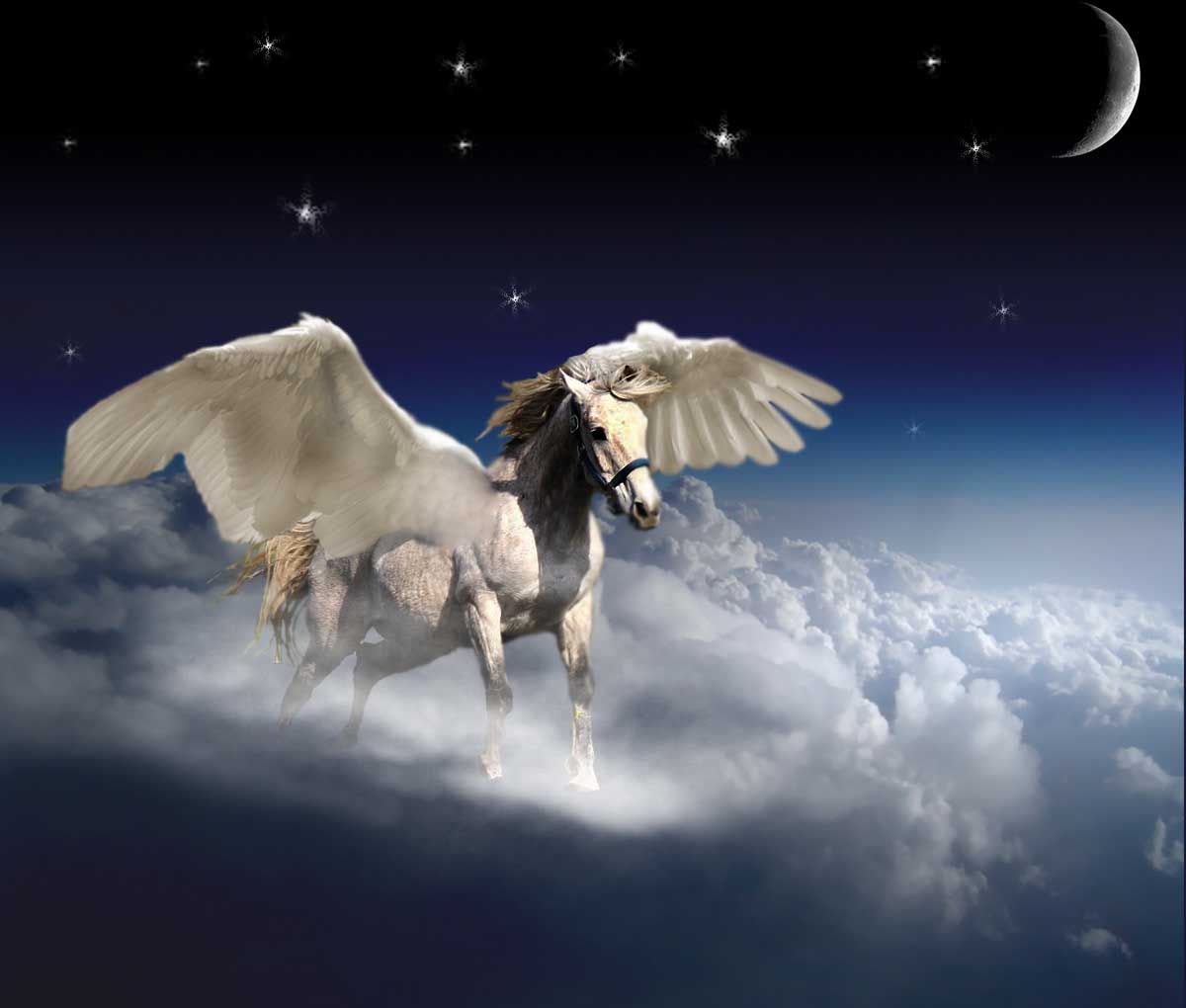 Photoshop Design by EmmaMay for DesignCrowd (Community Contests) | Design #8946141