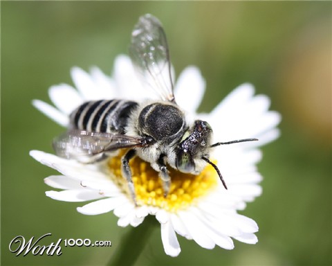 Photography by EvilDave