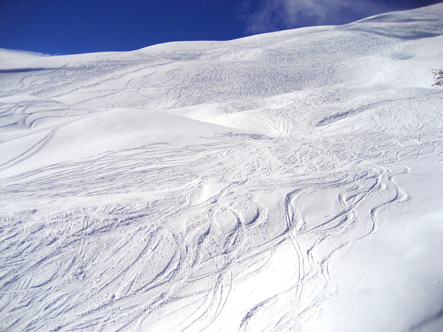 Photography by mangoslushy for DesignCrowd (Community Contests) | Design #8943866