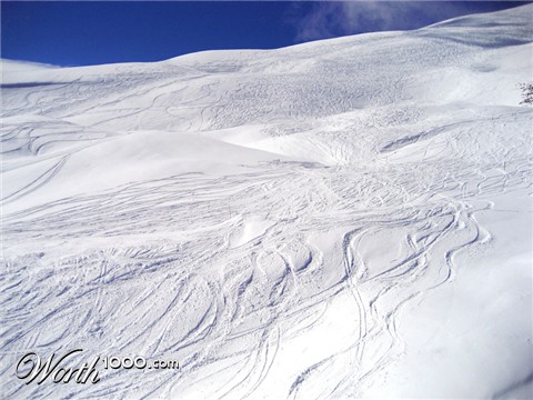 Photography by mangoslushy