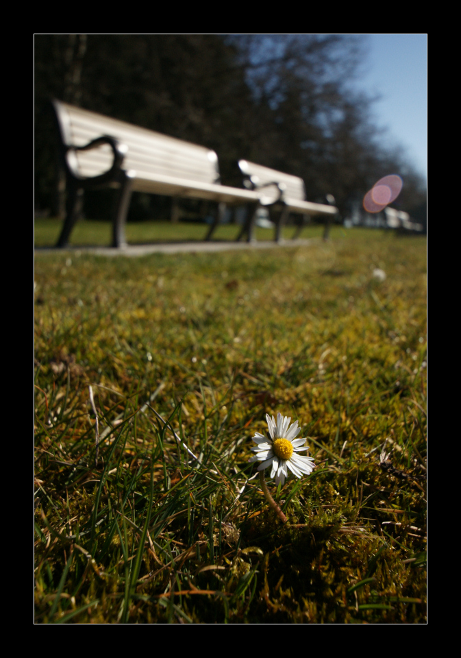 Fotografía por Francoise para DesignCrowd (Community Contests) | Diseño #8942967