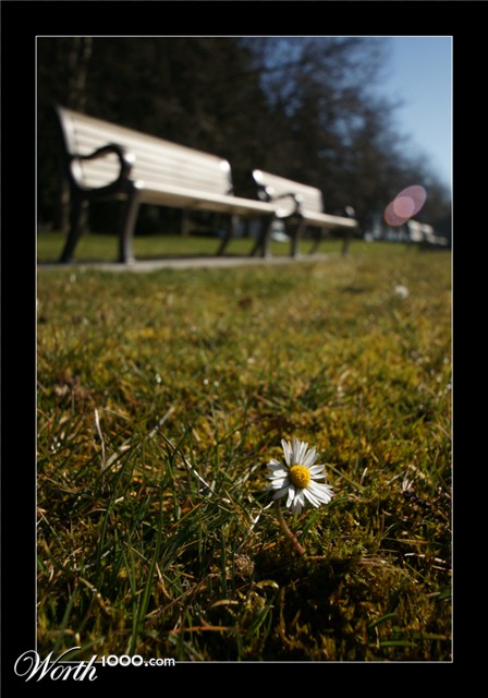 Photography by Francoise