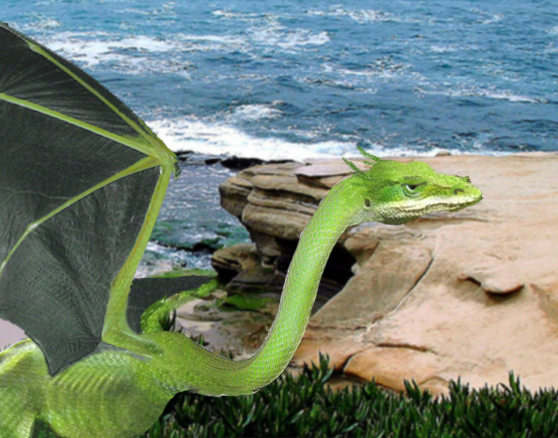 Photoshop Design by maddiemay for DesignCrowd (Community Contests) | Design #8945134