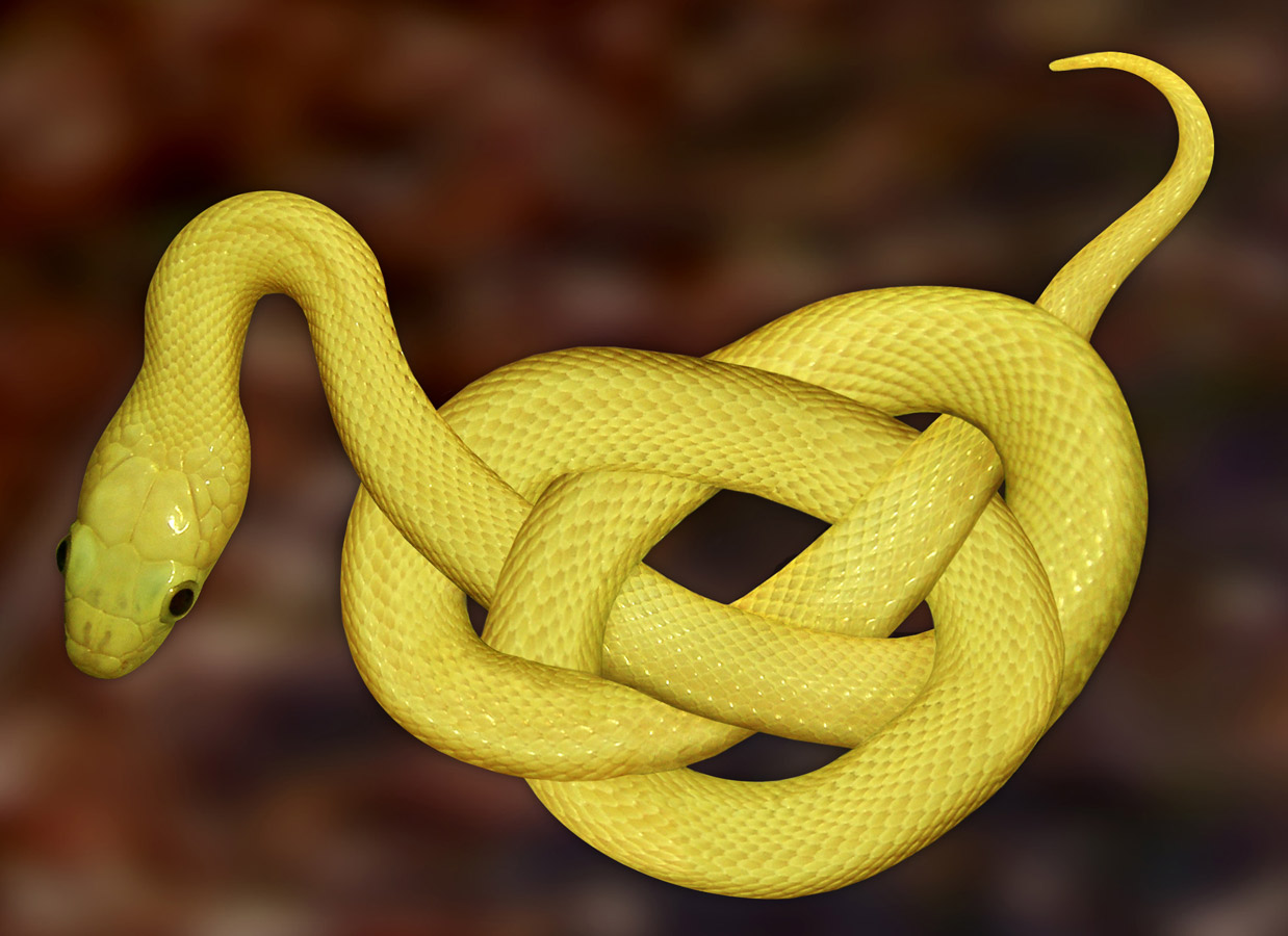 Design Photoshop par 4evrblu pour DesignCrowd (Community Contests) | Design #8946033