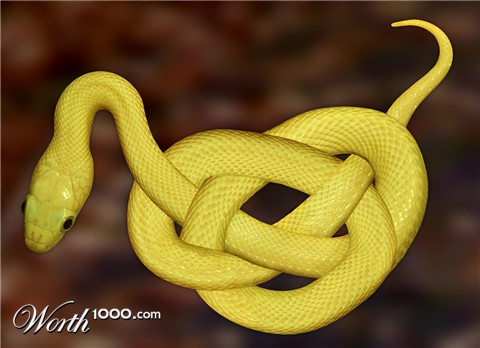 Photoshop Design by 4evrblu