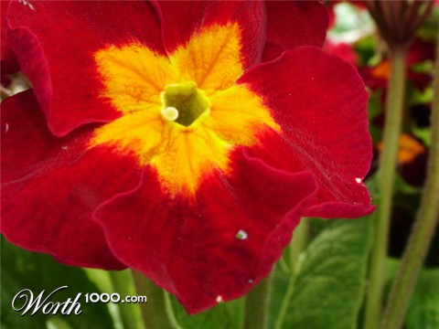 Photography by lazerblade