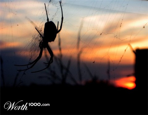 Photography by brdispatch05