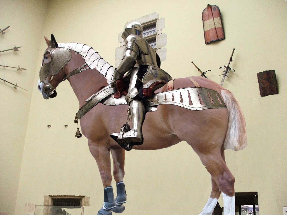 Photoshop Design by Menmar for DesignCrowd (Community Contests) | Design #8943663