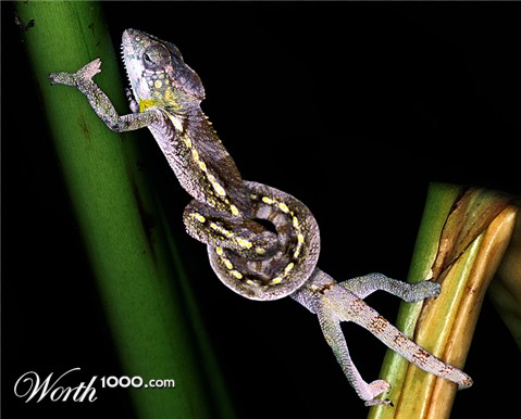 Photoshop Design by urnmns