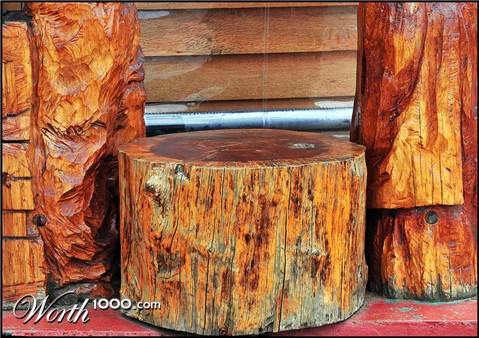 Photography by Isabella2006