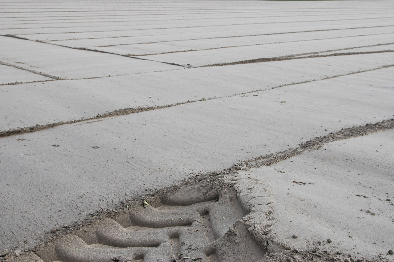 Photography by Roel1969 for DesignCrowd (Community Contests) | Design #8943982