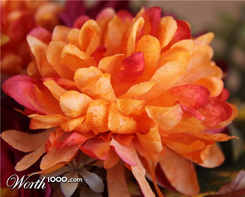 Photography by mindy3051