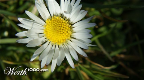 Photography by crouchy28